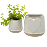 Love Pot - Large